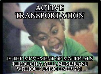 active-transportation-is-the-movement-of-materials-through-a-cell-membrane-witho