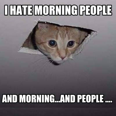 i-hate-morning-people-and-morning...and-people-