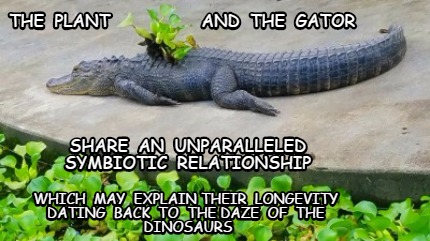 the-plant-and-the-gator-share-an-unparalleled-symbiotic-relationship-which-may-e