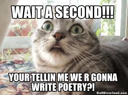 wait-a-second-your-tellin-me-we-r-gonna-write-poetry