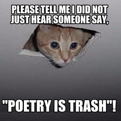 please-tell-me-i-did-not-just-hear-someone-say-poetry-is-trash