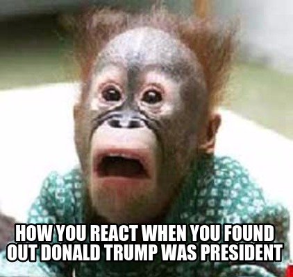 how-you-react-when-you-found-out-donald-trump-was-president