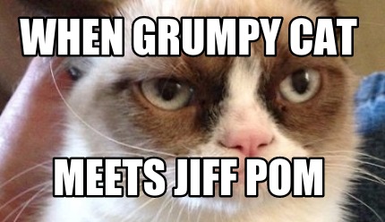 when-grumpy-cat-meets-jiff-pom