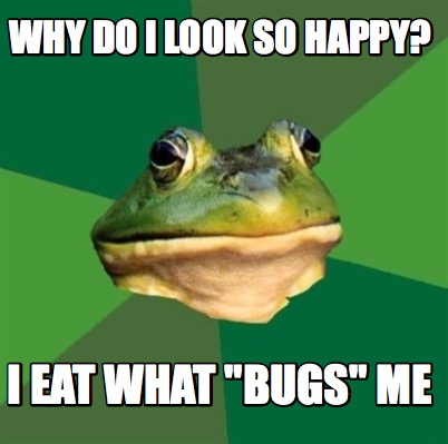 why-do-i-look-so-happy-i-eat-what-bugs-me