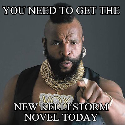 you-need-to-get-the-new-kelli-storm-novel-today