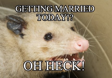 getting-married-today-oh-heck