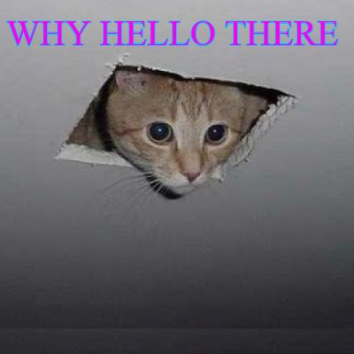 why-hello-there