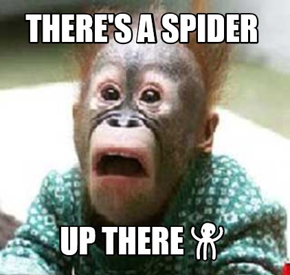 theres-a-spider-up-there-