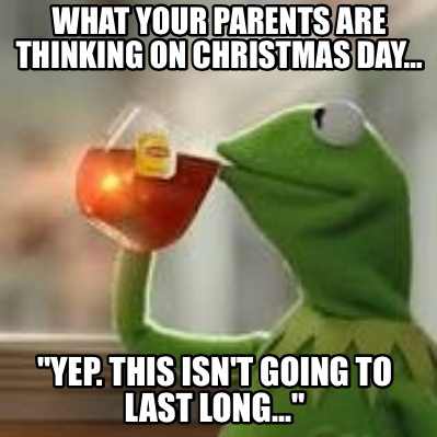 what-your-parents-are-thinking-on-christmas-day-yep.-this-isnt-going-to-last-lon