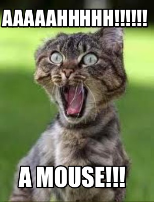 aaaaahhhhh-a-mouse