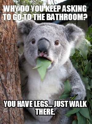 why-do-you-keep-asking-to-go-to-the-bathroom-you-have-legs...-just-walk-there