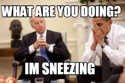 what-are-you-doing-im-sneezing