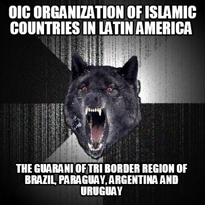 oic-organization-of-islamic-countries-in-latin-america-the-guarani-of-tri-border