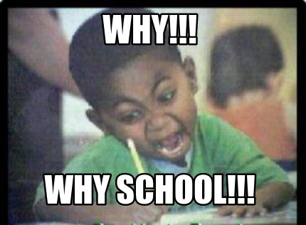 why-why-school