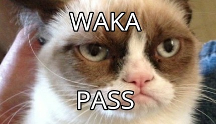 waka-pass4