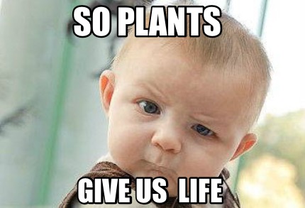 so-plants-give-us-life