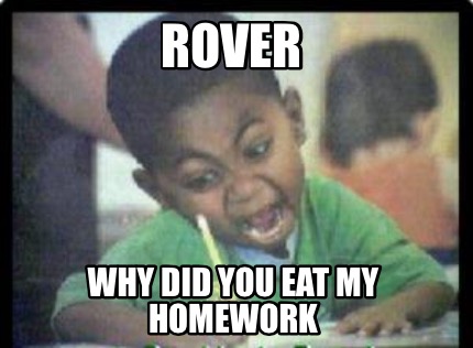 rover-why-did-you-eat-my-homework