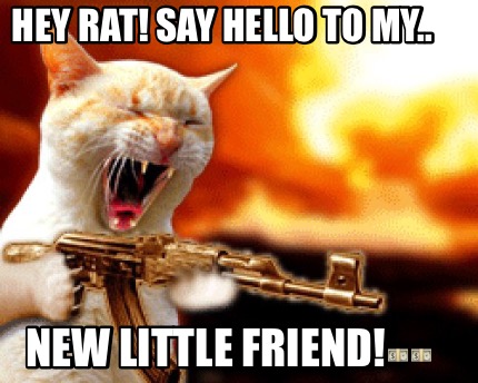 hey-rat-say-hello-to-my..-new-little-friend