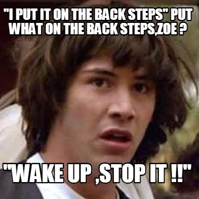 i-put-it-on-the-back-steps-put-what-on-the-back-stepszoe-wake-up-stop-it-