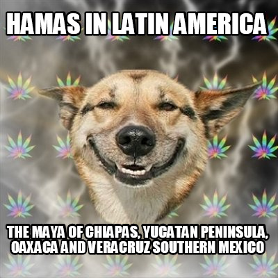 hamas-in-latin-america-the-maya-of-chiapas-yucatan-peninsula-oaxaca-and-veracruz