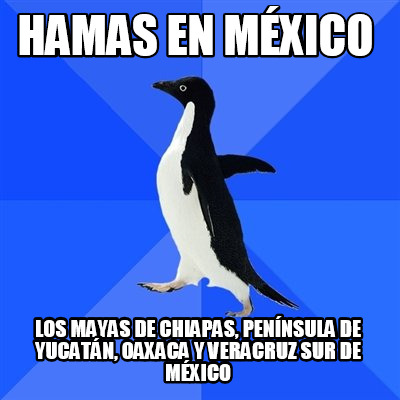 hamas-en-mxico-los-mayas-de-chiapas-pennsula-de-yucatn-oaxaca-y-veracruz-sur-de-