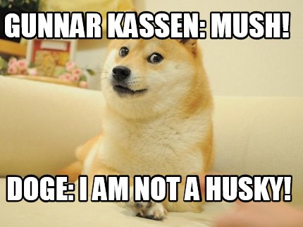 gunnar-kassen-mush-doge-i-am-not-a-husky