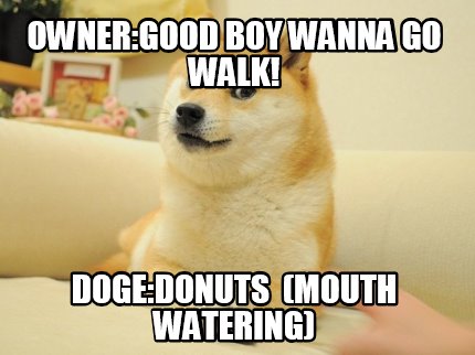 ownergood-boy-wanna-go-walk-dogedonuts-mouth-watering