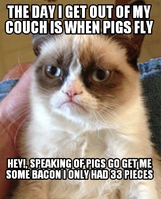 the-day-i-get-out-of-my-couch-is-when-pigs-fly-hey-speaking-of-pigs-go-get-me-so