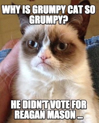 why-is-grumpy-cat-so-grumpy-he-didnt-vote-for-reagan-mason-