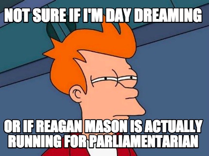 not-sure-if-im-day-dreaming-or-if-reagan-mason-is-actually-running-for-parliamen