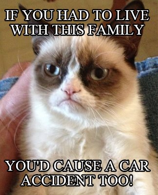 if-you-had-to-live-with-this-family-youd-cause-a-car-accident-too