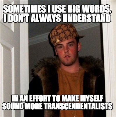 sometimes-i-use-big-words-i-dont-always-understand-in-an-effort-to-make-myself-s