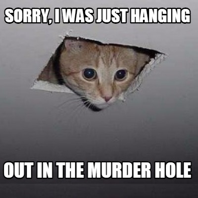 sorry-i-was-just-hanging-out-in-the-murder-hole