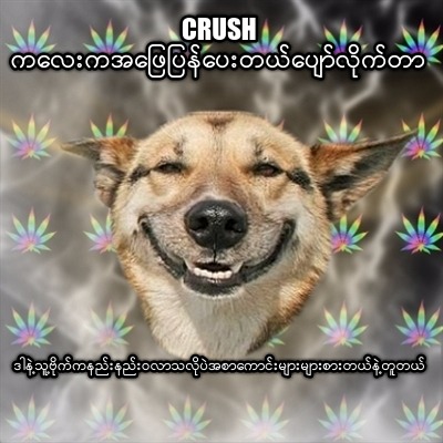 crush-