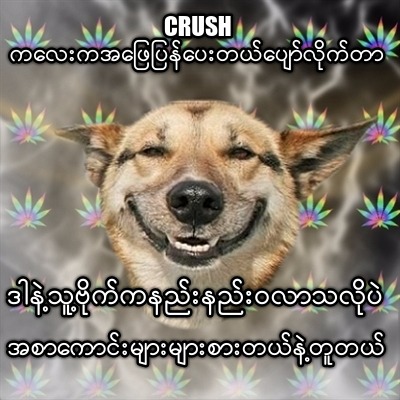 crush-9