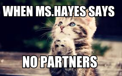 when-ms.hayes-says-no-partners