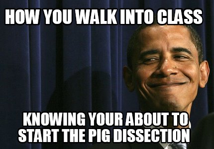 how-you-walk-into-class-knowing-your-about-to-start-the-pig-dissection