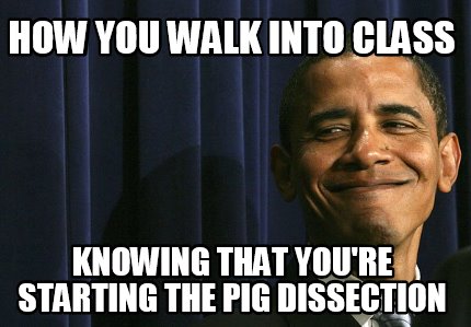how-you-walk-into-class-knowing-that-youre-starting-the-pig-dissection
