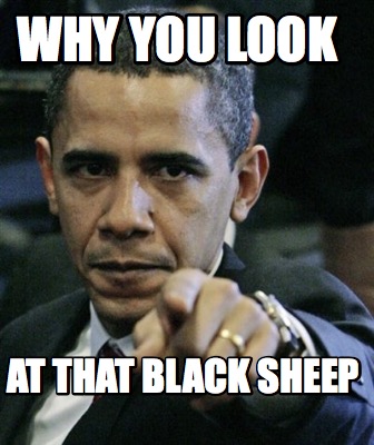 why-you-look-at-that-black-sheep