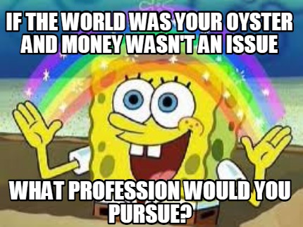 if-the-world-was-your-oyster-and-money-wasnt-an-issue-what-profession-would-you-