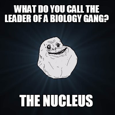 what-do-you-call-the-leader-of-a-biology-gang-the-nucleus
