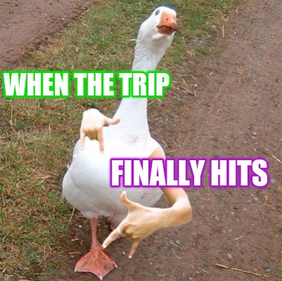 when-the-trip-finally-hits