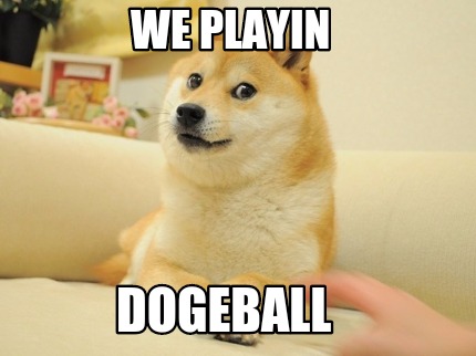 we-playin-dogeball