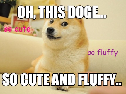 oh-this-doge...-so-cute-and-fluffy..-so-cute-so-fluffy