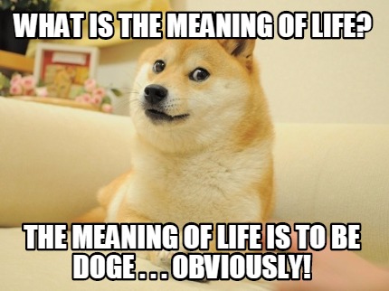 what-is-the-meaning-of-life-the-meaning-of-life-is-to-be-doge-.-.-.-obviously