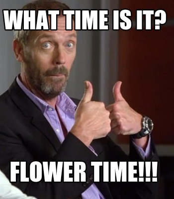 what-time-is-it-flower-time