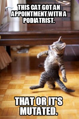 this-cat-got-an-appointment-with-a-podiatrist.-that-or-its-mutated