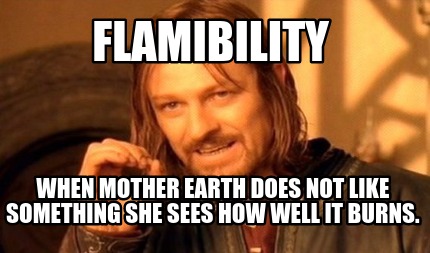flamibility-when-mother-earth-does-not-like-something-she-sees-how-well-it-burns