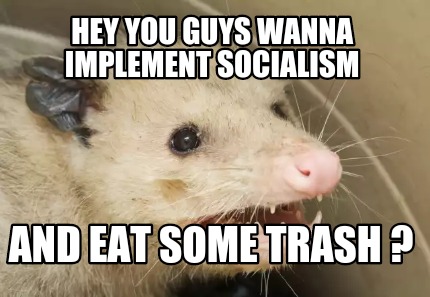 hey-you-guys-wanna-implement-socialism-and-eat-some-trash-