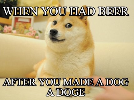 when-you-had-beer-after-you-made-a-dog-a-doge